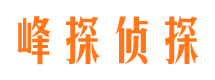 山阳市场调查